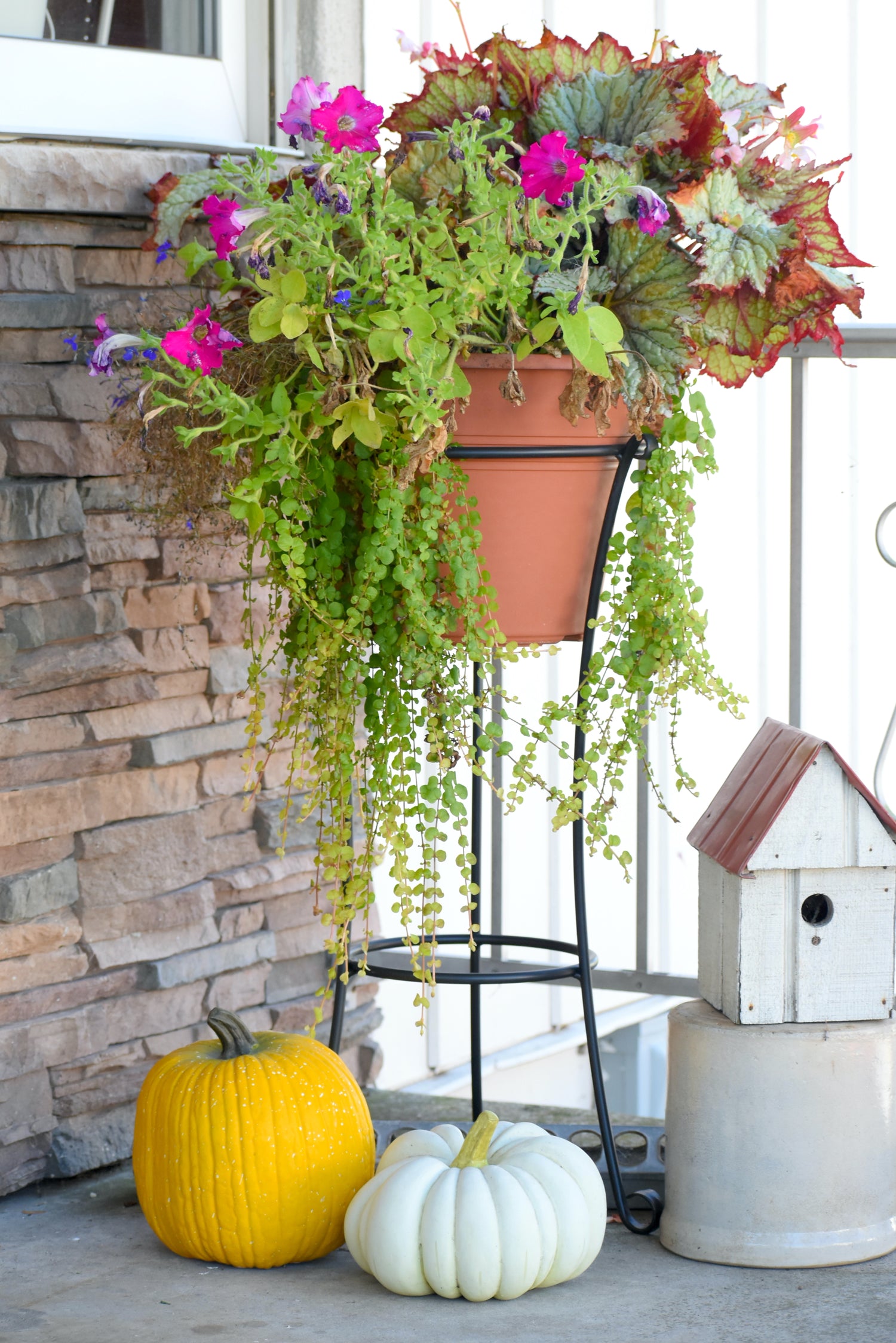 Potted Plant Holders